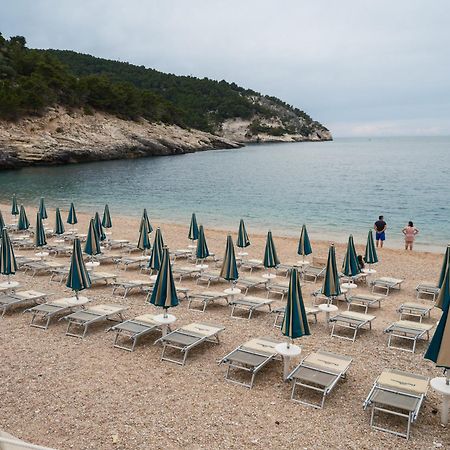 La Finestra Sul Mare - Antonella Apartment 维耶斯泰 外观 照片
