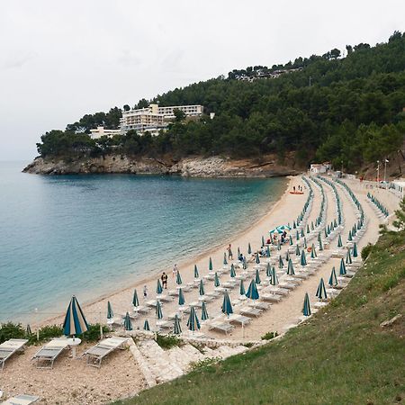 La Finestra Sul Mare - Antonella Apartment 维耶斯泰 外观 照片